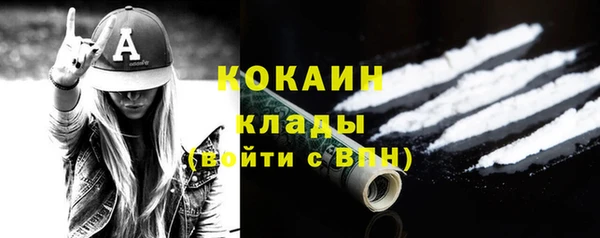 трава Белокуриха